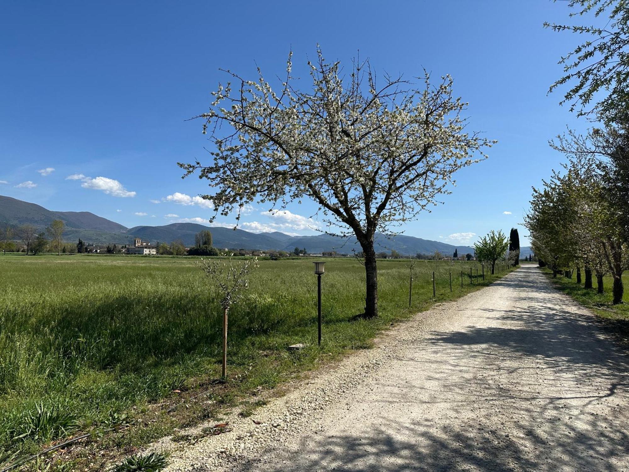 Agriturismo Il Casale Grande * Beroide